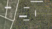 5000 sq. ft. undeveloped lot near Lake Beresford, Volusia County, FL - Central Florida Land - No Reserve