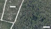 5000 sq. ft. undeveloped lot near Lake Beresford, Volusia County, FL - Central Florida Land - No Reserve