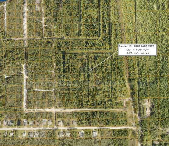 0.25 ± acre undeveloped parcel near Park Lake, DeLand, FL  - No Reserve