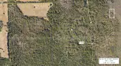 1.25 Acres near Near I-4 and Deland, FL - Central Florida Land, Volusia County, No Reserve
