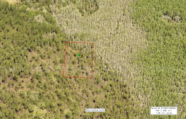 1.25 Acres near Near I-4 and Deland, FL - Central Florida Land, Volusia County, No Reserve