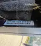 Lot of 6 Club Car Precedent Gas