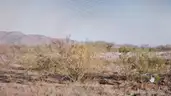 10 Acres South of I-10 Texas