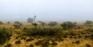 10 Acres South of I-10 Texas