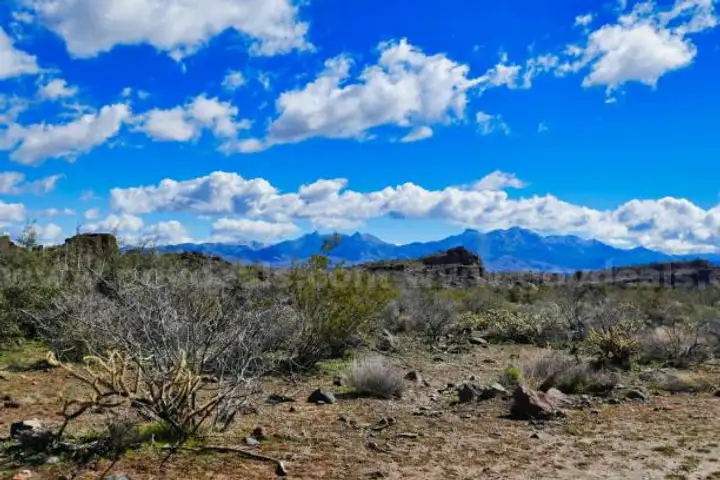 Kingman Arizona Subdivision
