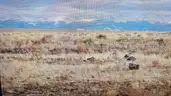 1/4 acre COLORADO