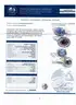 14k Dual Sapphire and Diamond Ring