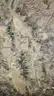 1/5 Acres in Valle Vista, Arizona