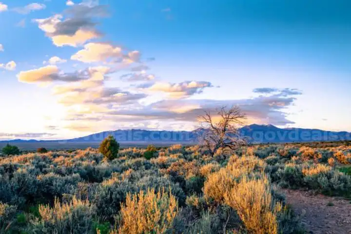 New Mexico Ranchos De Taos Estates - 1/4 Acre Lot