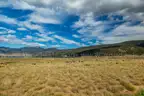 New Mexico Ranchos De Taos Estates - 1/4 Acre Lot