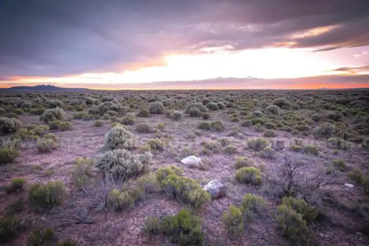 1/4 Acre Land in Taos, New Mexico