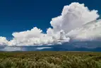 1/4 Acre New Mexico