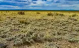 1/4 acre Lot in Antonito, Near Rio Grande River