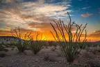 10 ACRES PRESIDIO COUNTY TEXAS
