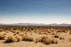 10 Acres Texas