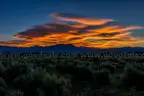 BEAUTIFUL 1/4 ACRE TAOS NM