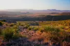 10 Acres Texas