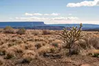 5 Acres Southern Colorado