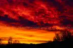 5 Acres Southern Colorado