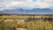 1/4 Acre Deming New Mexico-Sunshine