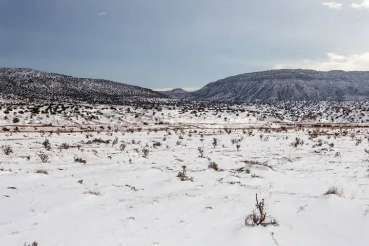 1/4 Acre in Taos, New Mexico