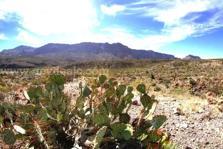 10 Acres in County of Presidio, Texas