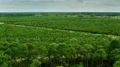 1/3 ACRE CENTRAL FLORIDA