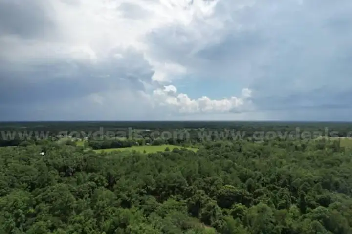1/3 ACRE CENTRAL FLORIDA
