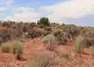 1/4 acre Lot in Antonito, Near Rio Grande River and Historic Lobatos Bridge