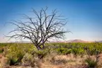 10 Acres Texas - Hudspeth County