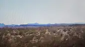 10 Acres Texas East of Presidio Texas