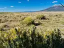 1/4 Near Colorado City,  Gorgeous Area
