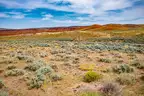 40 Acres in Southern Wyoming