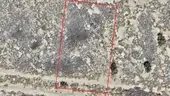 Near Los Lunas- 0.25acre lot near new Facebook data center