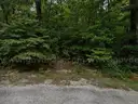 Cherokee Village, AR Area - 0.25acre Resid Lot near Lake Omaha!