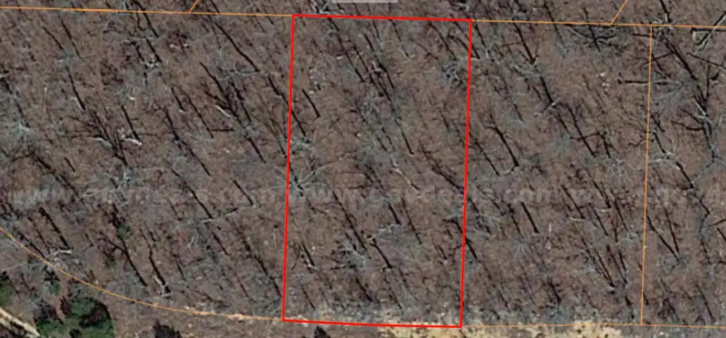 Horseshoe Bend - 0.33acre lot very close to Diamond Lake