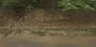 Cherokee Village, AR Area - 0.28acre Resid Lot near Lake Thunderbird!