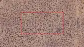 Near Los Lunas- 0.50acre lot near new Facebook data center