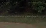Cherokee Village, AR Area - 0.30acre Resid Lot near Lake Thunderbird!