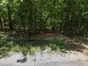 Cherokee Village, AR Area - 0.26acre Resid Lot near Lake Omaha!