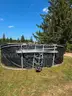 Baseball Hitting Turtle