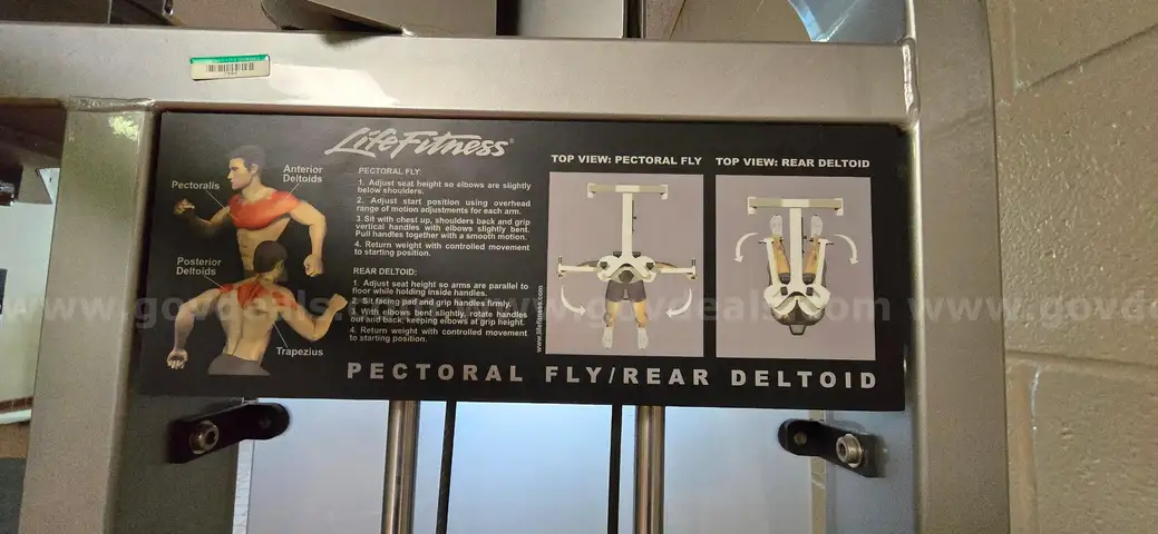 PECTORAL FLY/ REAR DETOID MACHINE