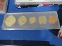 Coin Collection &#x26; Uncut $2 Framed Pano (17.6 lbs)