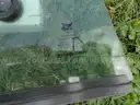 Bobcat Side Window