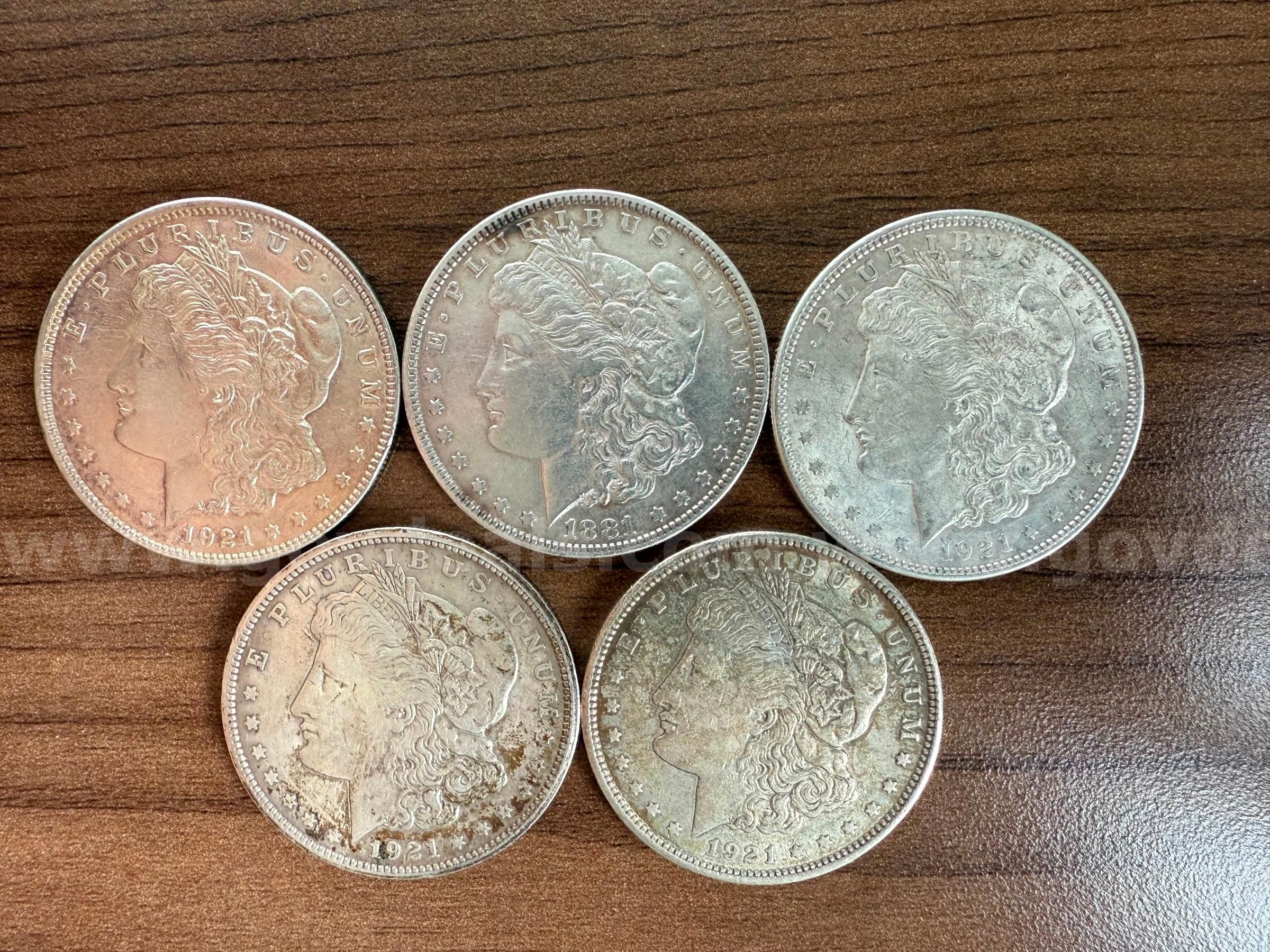 豊富な商品から NICE REALLY 5 of LOT Collectable 1881 Dollars Morgan Silver 貨幣