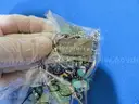 Lot of 23 Jewelry (Gold, GP, GF, Sterling, 925, etc.) - 444 Grams