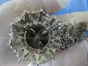 Lot of 23 Jewelry (Gold, GP, GF, Sterling, 925, etc.) - 444 Grams