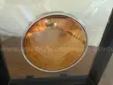 Rare! Sacagawea 4 OZ .999 Fine Silver 24K Gold Plated Round