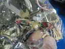 Assorted Jewelry &#x26; Miscellaneous Items (13.8 lbs)