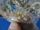 Assorted Jewelry &#x26; Miscellaneous Items (13.8 lbs)